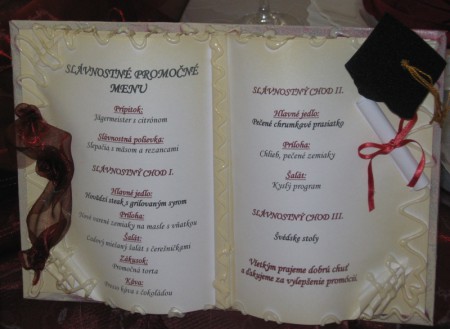 Kniha-menu 13